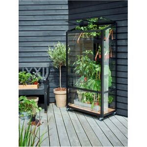 Juliana City Greenhouse 0.32 M2 Drivhus, Sort