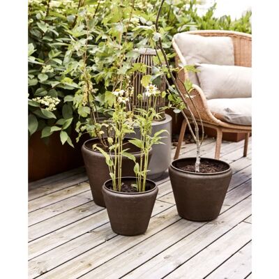 House Doctor Funnel Urtepotter, Antik Brun, 3 Stk House Doctor Funnel Urtepotter, Antik Brun, 3 Stk