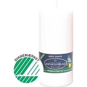 ASP-Holmblad Bloklys, Eco, Stearin, 5,8x13 Cm, Hvid ASP-Holmblad Bloklys, Eco, Stearin, 5,8x13 Cm, Hvid