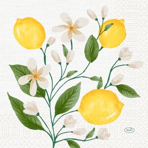 Duni Frokostserviet, 3-Lag, Lemon Fiesta, 250 Stk. Duni Frokostserviet, 3-Lag, Lemon Fiesta, 250 Stk.