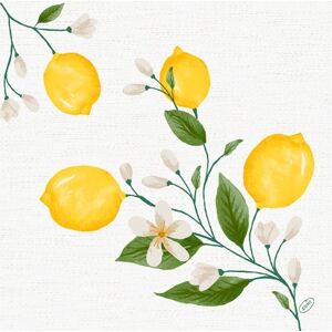 Dunisoft Middagsserviet, Lemon Fiesta , 60 Stk. Dunisoft Middagsserviet, Lemon Fiesta , 60 Stk.