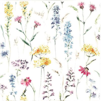ASP-Holmblad Frokostserviet, 3-Lags, Summer Meadow, 20 Stk. ASP-Holmblad Frokostserviet, 3-Lags, Summer Meadow, 20 Stk.
