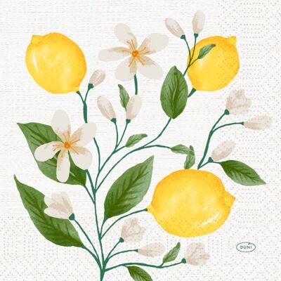 Duni Frokostserviet, 3-Lag, Lemon Fiesta, 250 Stk. Duni Frokostserviet, 3-Lag, Lemon Fiesta, 250 Stk.
