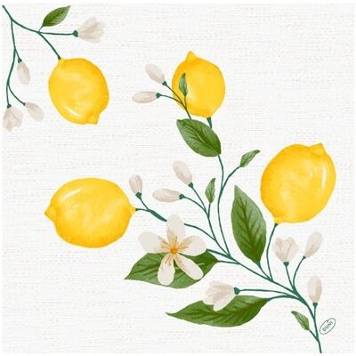 Dunisoft Middagsserviet, Lemon Fiesta , 60 Stk. Dunisoft Middagsserviet, Lemon Fiesta , 60 Stk.