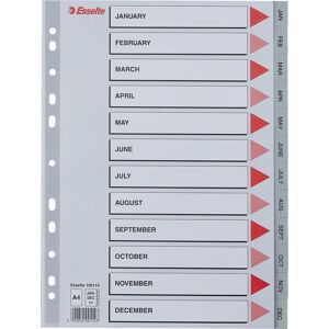 Esselte Register   A4   Plast   Grå   Jan-Dec