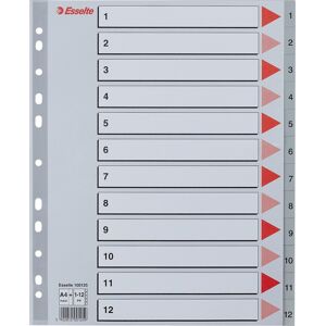 Esselte Maxi Register   A4   Plast   Grå   1-12