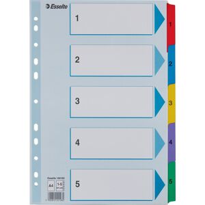 Esselte Mylar Register   A4   Karton   1-5