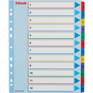 Esselte Mylar Register   A4   Overskriv   1-12