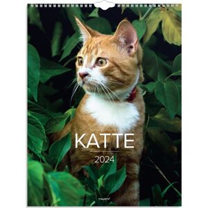 Mayland 2024 Vægkalender   Katte