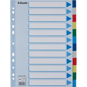 Esselte Faneblad A4 Plast 12 Faner Esselte Faneblad A4 Plast 12 Faner