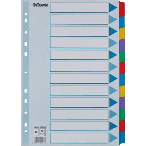 Esselte Mylar Faneblade A4 Karton 12 Faner Esselte Mylar Faneblade A4 Karton 12 Faner
