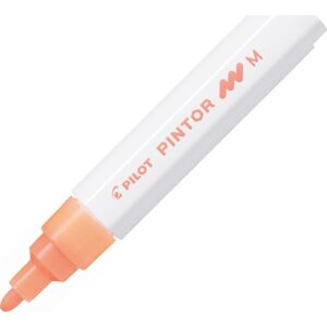 Pilot Pintor Marker M Neon Orange Pilot Pintor Marker M Neon Orange