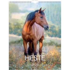 Mayland 2026 Vægkalender, Heste Mayland 2026 Vægkalender, Heste
