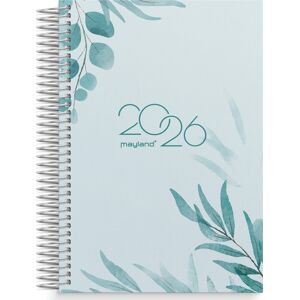 Mayland 2026 Dagkalender, Mønstret Karton Mayland 2026 Dagkalender, Mønstret Karton