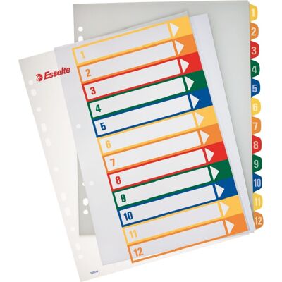 Esselte Maxi Register A4 Printbar 1-12 Esselte Maxi Register A4 Printbar 1-12