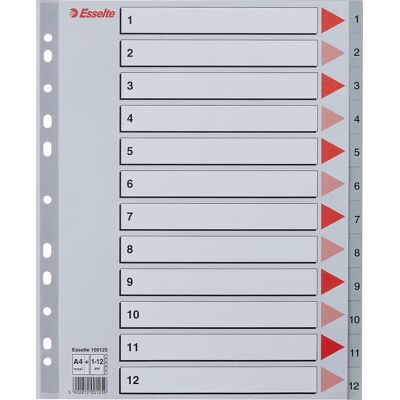 Esselte Maxi Register A4 Plast Grå 1-12 Esselte Maxi Register A4 Plast Grå 1-12