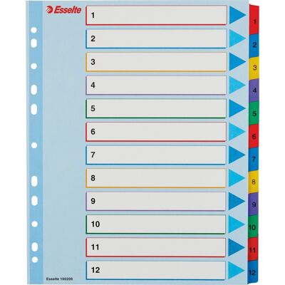 Esselte Mylar Register A4 Overskriv 1-12 Esselte Mylar Register A4 Overskriv 1-12