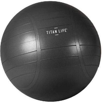 Titan Life Pro Træningsbold, Ø65 Cm Titan Life Pro Træningsbold, Ø65 Cm