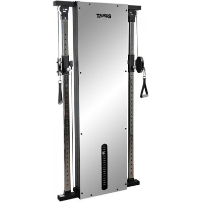Taurus kabeltræktårn Design Line Dual 67,5 kg, spejl Taurus kabeltræktårn Design Line Dual 67,5 kg, spejl