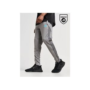 adidas Tiro 24 Training Track Pants, Grey