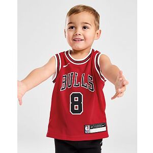 Nike NBA Chicago Bulls Lavine #8 Icon Jersey Infant, Red