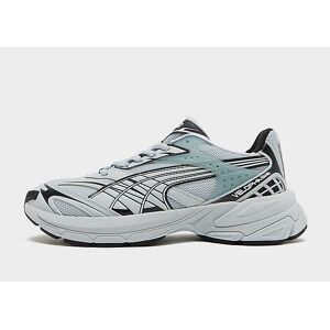 Puma Velophasis, Grey