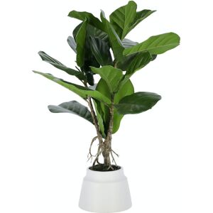 LaForma Lyrata, Kunstig plante, moderne, plast by LaForma (H: 60 cm. B: 30 cm. L: 30 cm., Grøn/Hvid)