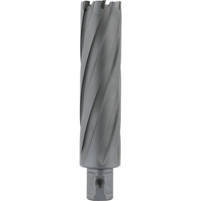 Euroboor Kernebor I Hårdmetal, 49 X 100 Mm, 19 Mm Welnit Shank 49 mm Euroboor Kernebor I Hårdmetal, 49 X 100 Mm, 19 Mm Welnit Shank 49 mm