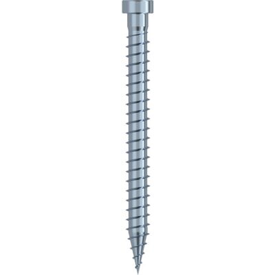 Eurotec Beslagskrue 5,0 X 50 Mm, Tx20, 250 Stk. Eurotec Beslagskrue 5,0 X 50 Mm, Tx20, 250 Stk.