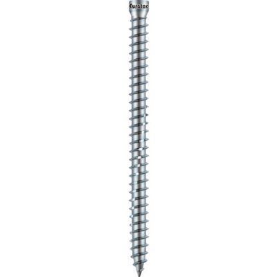 Eurotec Karmskrue 7.5 X 182 Mm, Fzb, Tx25, 100 Stk. Eurotec Karmskrue 7.5 X 182 Mm, Fzb, Tx25, 100 Stk.