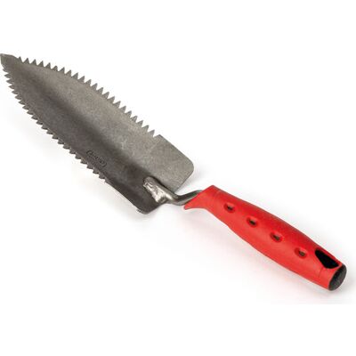 Polet Planteske Med Savtakkede Sider Polet Planteske Med Savtakkede Sider