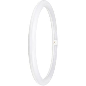 Ledvance Led Rør T9 Value Cirkulær G10q 2900lm 24w/865 230v+em