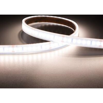 Ansell Lighting P-Cell 5m Strip 24v Ip65 9,6w/940 1070lm/m B:10mm Klip:50mm Ansell Lighting P-Cell 5m Strip 24v Ip65 9,6w/940 1070lm/m B:10mm Klip:50mm