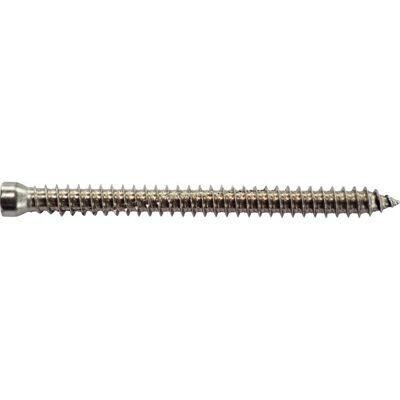Expandet Karmskrue U/hoved 7,5 X 112mm A2, Tx30, 100stk. Expandet Karmskrue U/hoved 7,5 X 112mm A2, Tx30, 100stk.