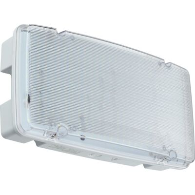 Philips Paniklysarmatur Em154c Led 10w 1587lm 3t Ip65 Hvid Manuel Test Philips Paniklysarmatur Em154c Led 10w 1587lm 3t Ip65 Hvid Manuel Test