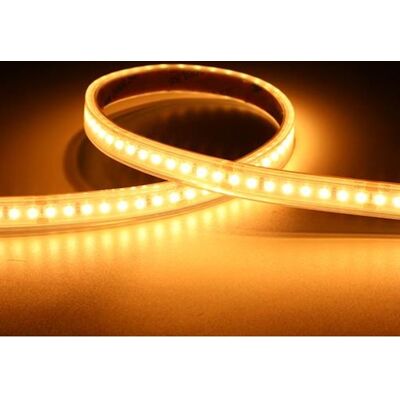 Ansell Lighting P-Cell 5m Strip 24v Ip65 9,6w/922 864lm/m B:10mm Klip:50mm Ansell Lighting P-Cell 5m Strip 24v Ip65 9,6w/922 864lm/m B:10mm Klip:50mm