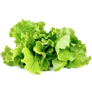 Click And Grow Grøn Salat, 3-Pak