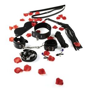 Toyjoy BDSM Starter Kit