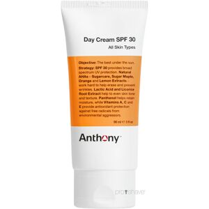 Anthony Logistics Anthony Day Cream, SPF 30, 90 ml.