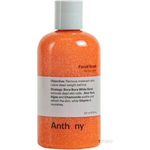 Anthony Logistics Anthony Facial Scrub, 237 ml.