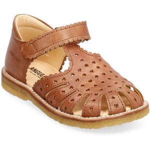 Sandals - Flat - Closed Toe - ANGULUS 1789 TAN 24 x 15.70,25 x 16.40,26 x 17.00,27 x 17.70,28 x 18.50,29 x 19.10,30 x 19.80,31 x 20.40,32 x 21.10,33 x 21.70,34 x 22.40