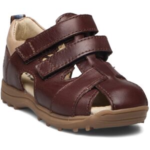 Hand Made Sandal Arauto RAP Brown BROWN ICE 25/16.3CM,26/17.0CM,27/17.6CM,31/20.3CM