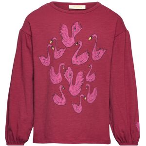 Sgmavis Swan Minidots L_S Tee Soft Gallery Red TIBETAN RED 98,104,110,116,122,128,134,140,146