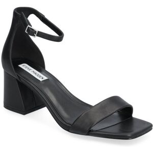 Epix Sandal Steve Madden Black BLACK LEATHER 36,37,38,39,40,41,42