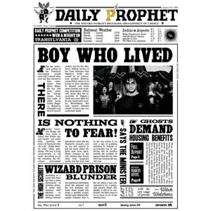 A3 print - Harry Potter - Daily Prophet - Dreng der levede Multicolor