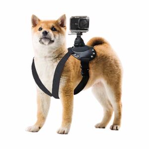 Megabilligt GoPro Dogsele Brystbælte til Dog Vest POV Mount Action Camera sort
