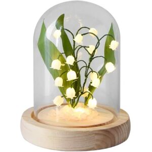 Orchid Night Light DIY Materiale Blomsterlampe