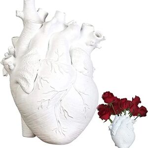 Hjertevase, kreativ anatomisk hjerteformet urtepotte Desktop Ornament