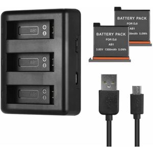 Ladesæt Triple-kanal oplader med 2 genopladelige Li-ion batterier 1300mAh USB ladekabel til DJI OSMO actionkamera, model: Sort