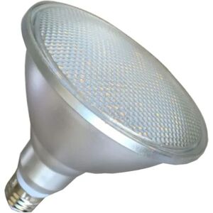 Vandtæt IP65 PAR38 15W LED Reflector Pære Udskiftning af halogenlamper og konventionelle pærer, E27 base, ikke-dæmpbar Cool White 6000K